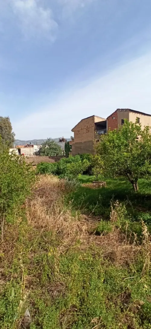 Vente Terrain Béjaïa Akbou
