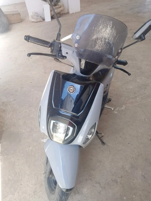 VMS Estate x 2023