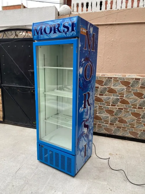 frigo morsi