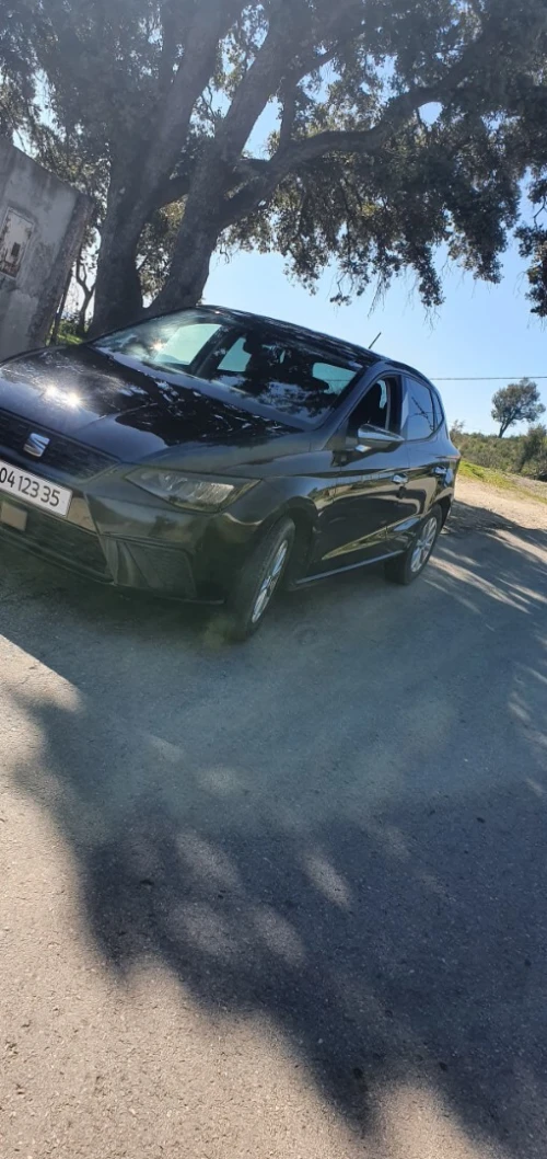 Seat Ibiza 2023 Style