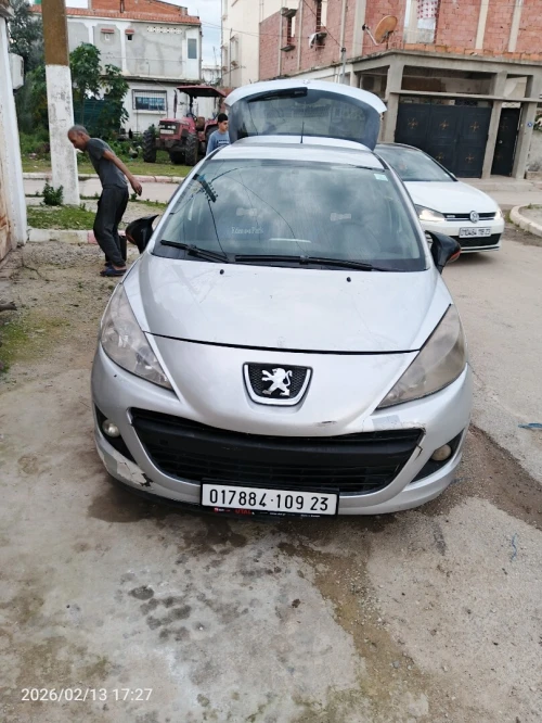Peugeot 207 2009 Simple