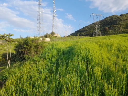 Vente Terrain Béjaïa Kherrata