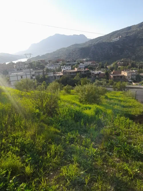 Vente Terrain Béjaïa Kherrata