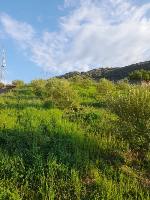 Vente Terrain Béjaïa Kherrata