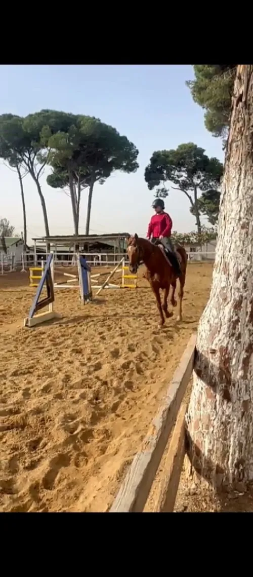 Cheval