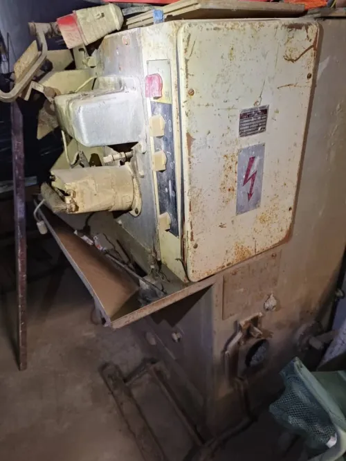 Machine à coudre chaussure
