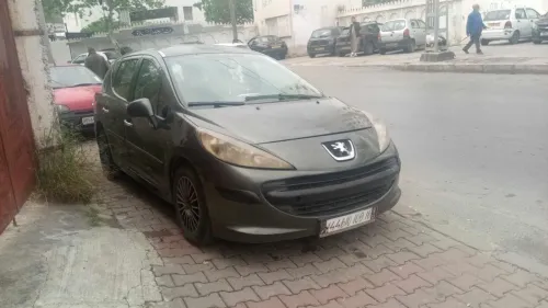 Peugeot 207 SW 2009 207 SW