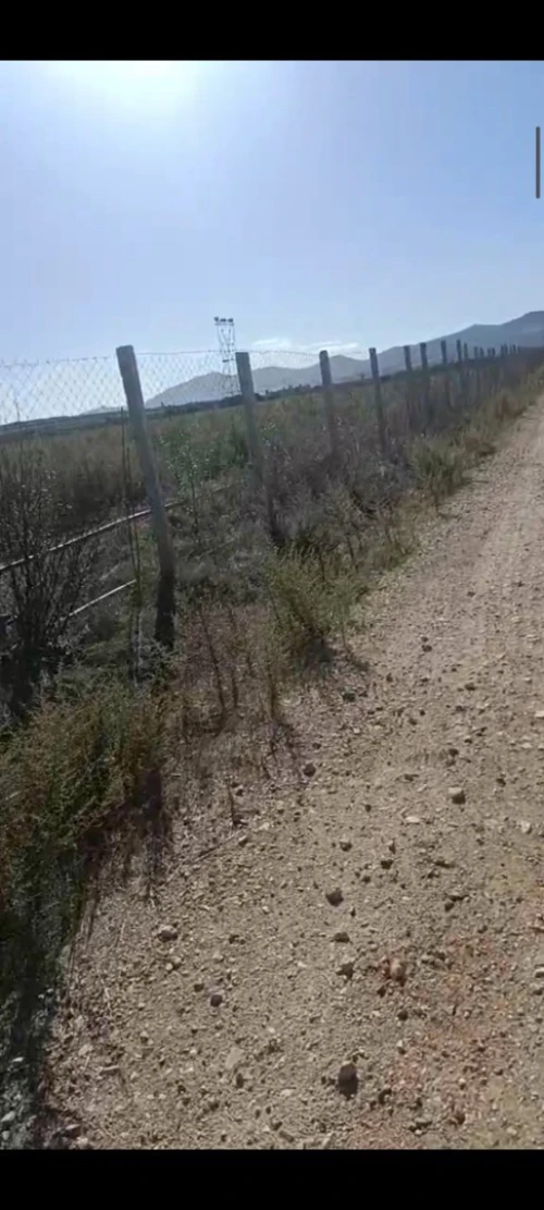 Vente Terrain Agricole Skikda Azzaba