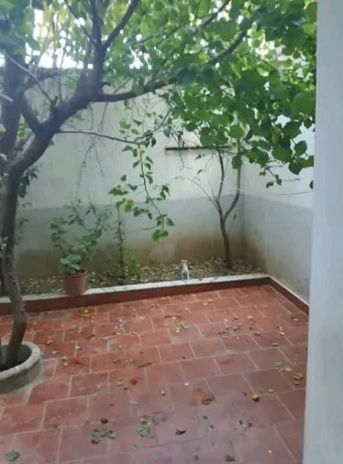 Location Appartement F2 Blida Beni tamou