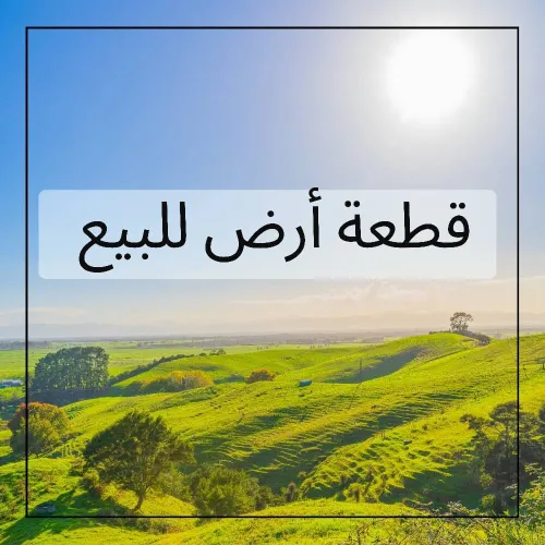 Vente Terrain Blida Beni mered
