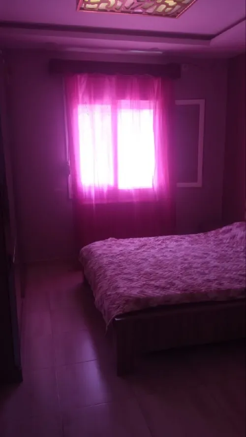 Location Appartement F4 Alger Souidania