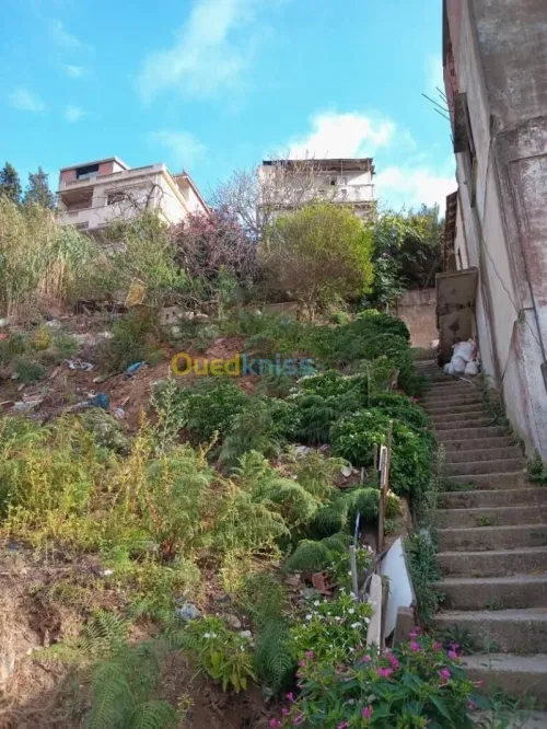 Vente Terrain Alger Bouzareah