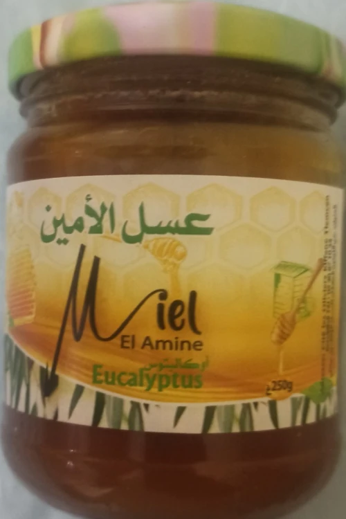 حسين داي 
