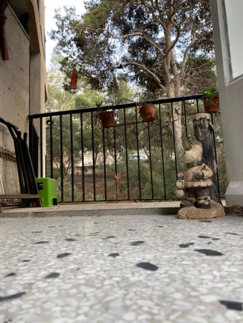 Vente Appartement F3 Alger El mouradia