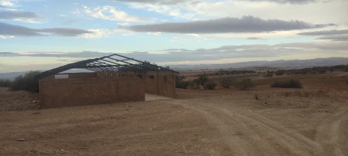 Vente Terrain Agricole Tlemcen Amieur