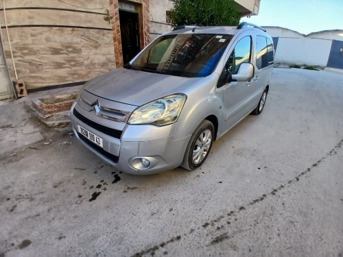 Citroen Berlingo 2009 Berlingo