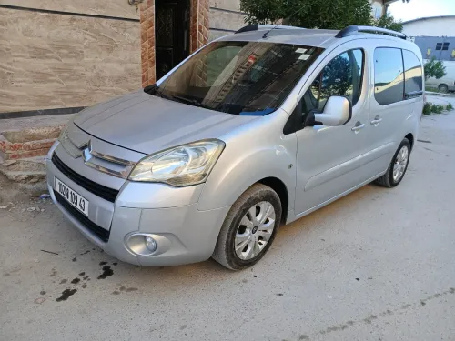 Citroen Berlingo 2009 Berlingo