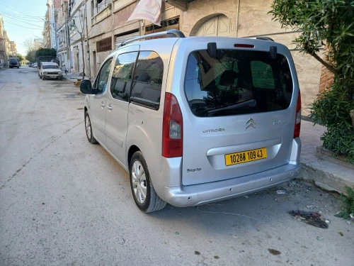 Citroen Berlingo 2009 Berlingo