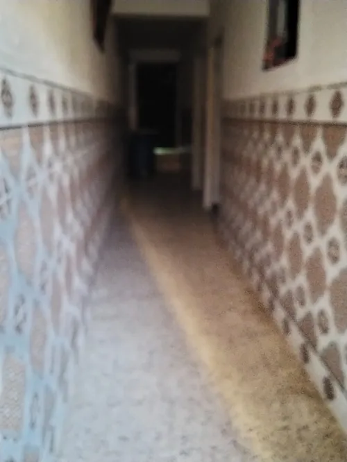 Location bien immobilier Alger Rais hamidou