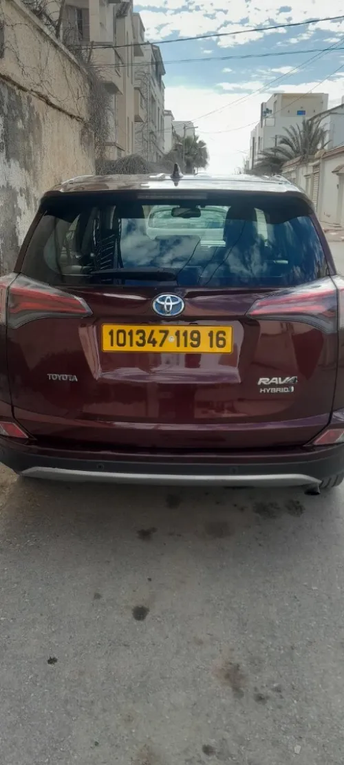 Toyota RAV4 2019 toyota hybride