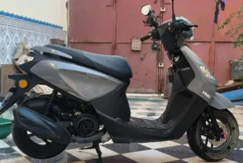 Vms Joci 2026