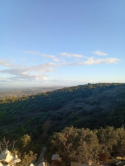 Vente Terrain Blida Bouinan
