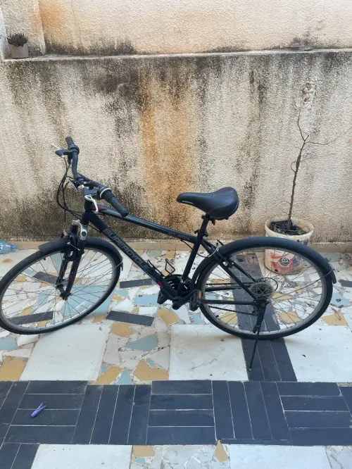 Velo