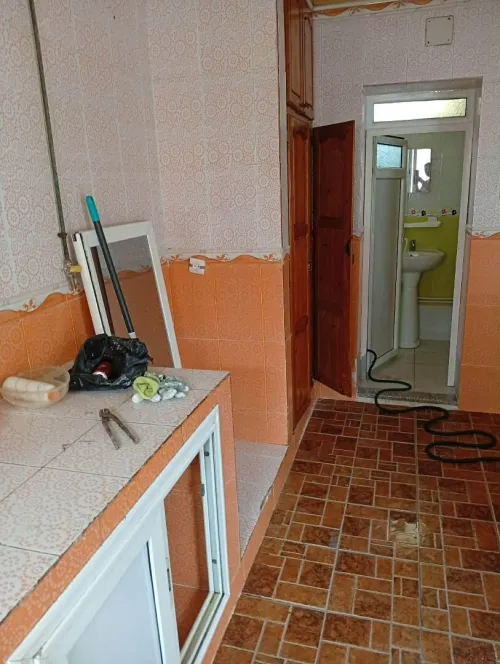 Location Villa Alger Les eucalyptus