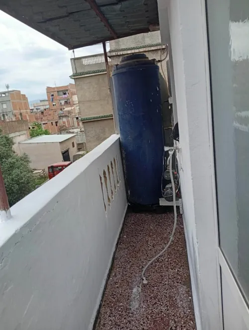 Location Villa Alger Les eucalyptus