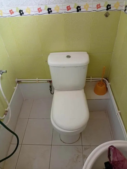 Location Villa Alger Les eucalyptus