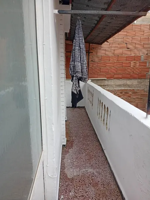 Location Villa Alger Les eucalyptus