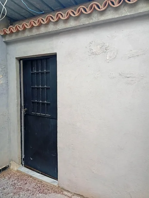 Location Villa Alger Les eucalyptus