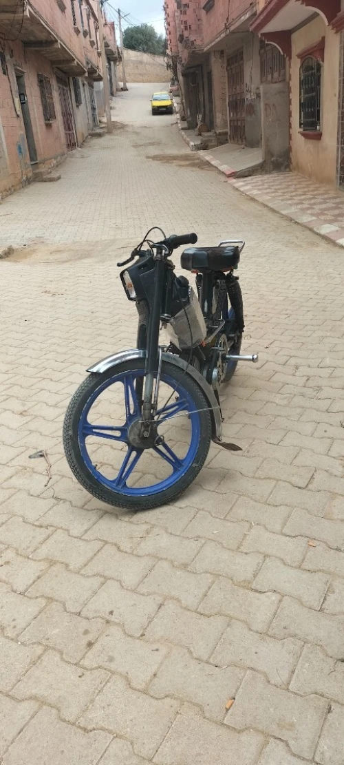 103 Pegout 2019