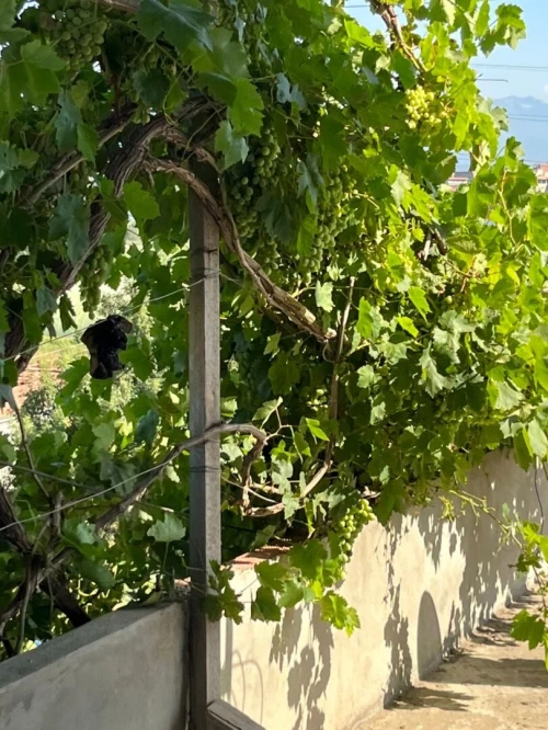 Location vacances Appartement Jijel Jijel