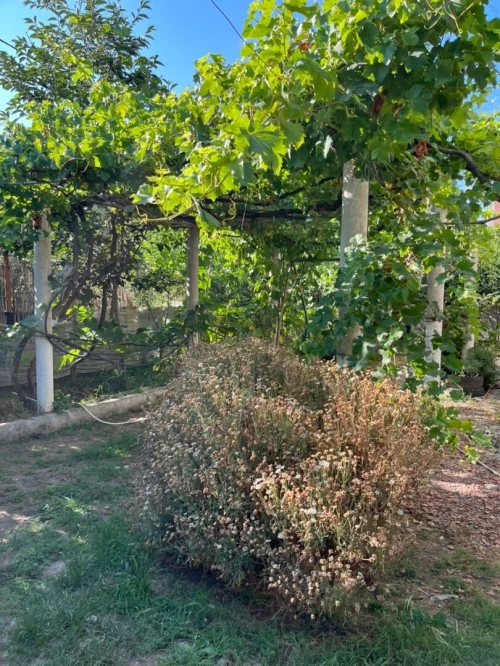 Location vacances Appartement Jijel Jijel