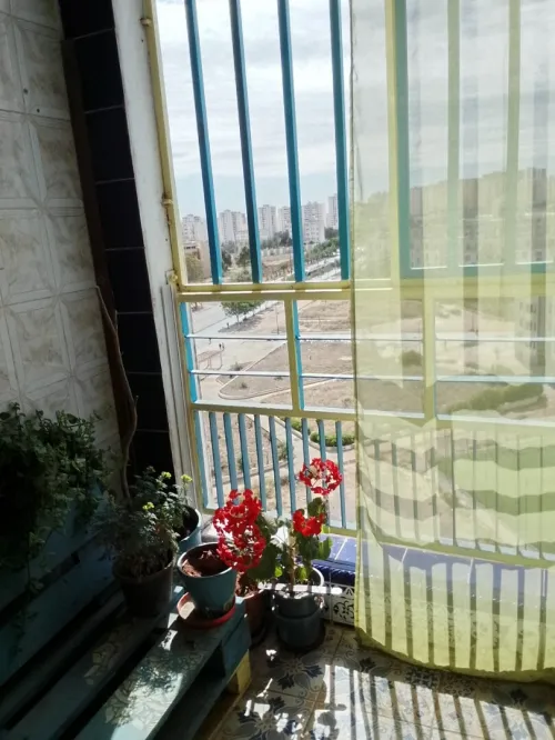 Vente Appartement F3 Oran Bir el djir