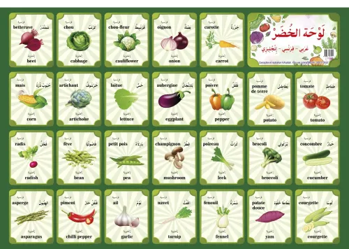 Infographe
