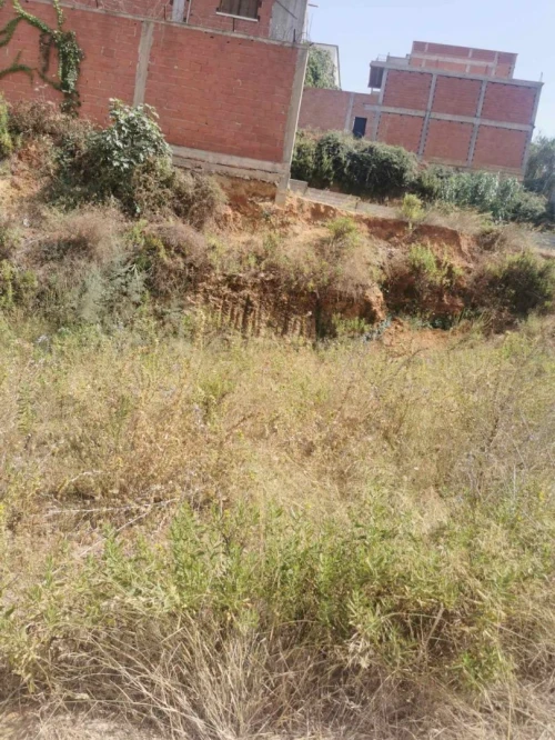 Vente Terrain Alger Saoula