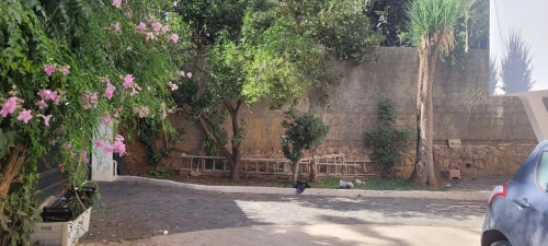 Location Villa Alger Hydra