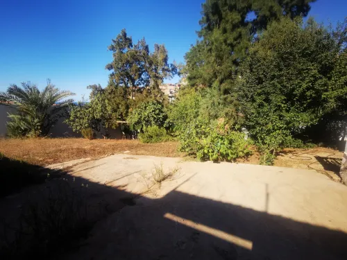 Vente Terrain Tipaza Bou ismail