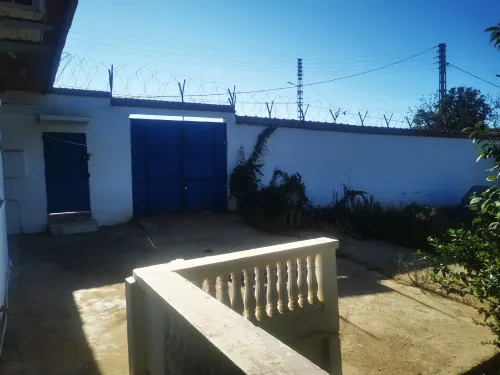 Vente Terrain Tipaza Bou ismail