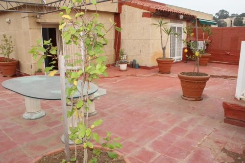 Location Villa Alger Hydra