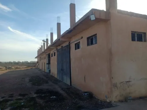 Vente Terrain Agricole Oran Gdyel