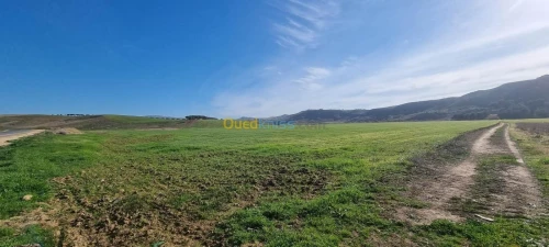 Vente Terrain Mostaganem Mostaganem