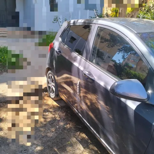 Hyundai Grand i10 2019 Restylée DZ