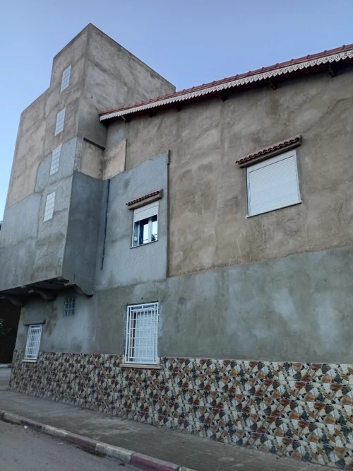 Vente Villa Aïn Defla Ain defla