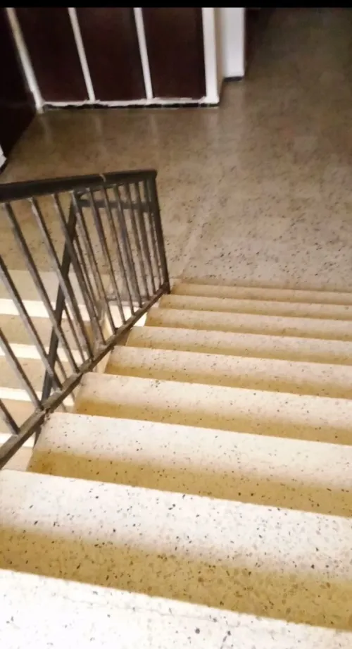 Location Appartement F3 Alger Ain naadja