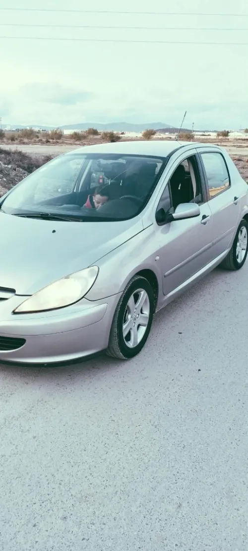 Peugeot 307 2002 307