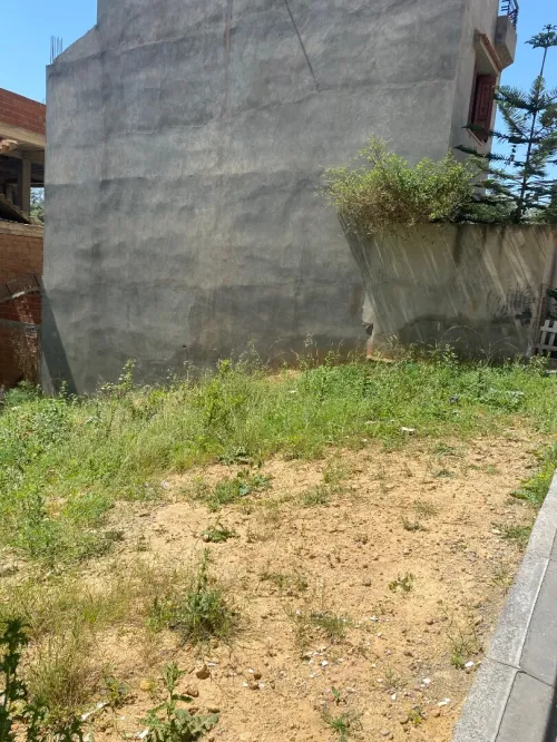 Vente Terrain Alger Saoula