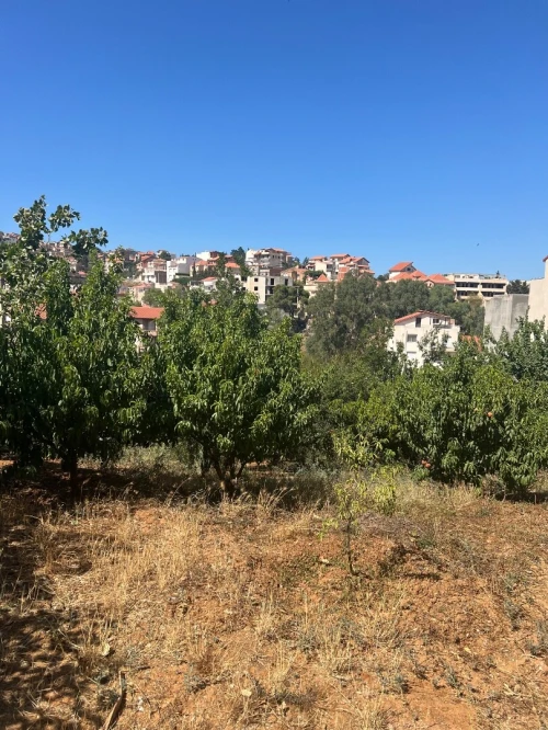 Vente Terrain Alger Saoula